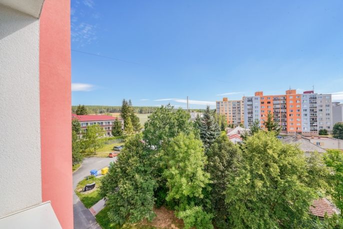 Prodej, Byt 1+kk, Horní Bříza