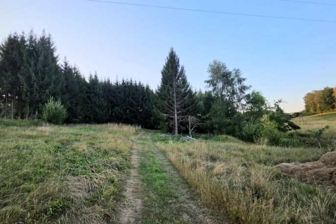 Prodej, Zahrada, Bělá nad Radbuzou