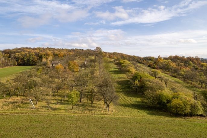 Prodej, Ovocný sad, Kostelec u Holešova