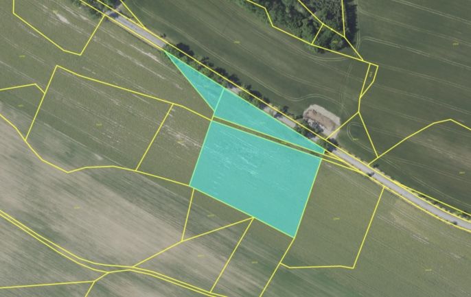 Prodej, Pole, Votice