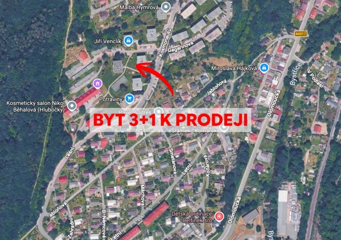 Prodej, Byt 3+1, Hlubočky