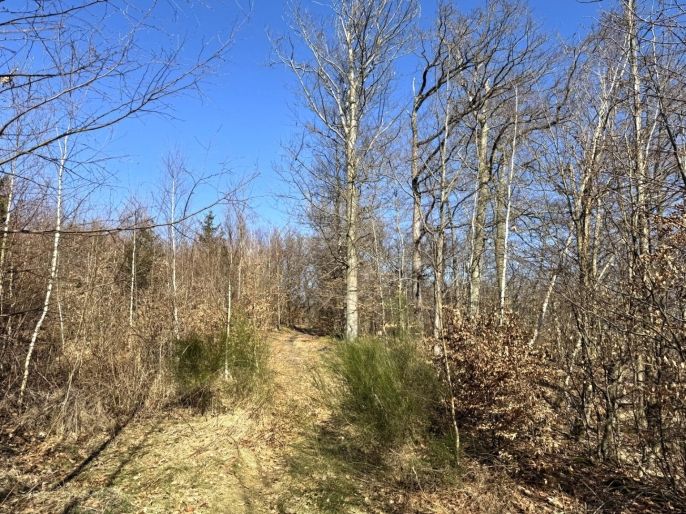 Prodej, Ostatní, Hrob