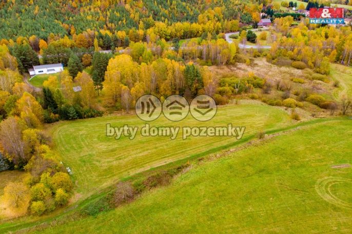 Prodej, Pole, Cvikov