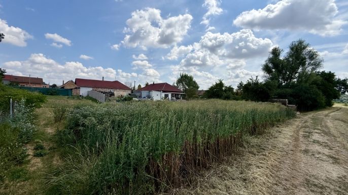 Prodej, Ostatní, Božice