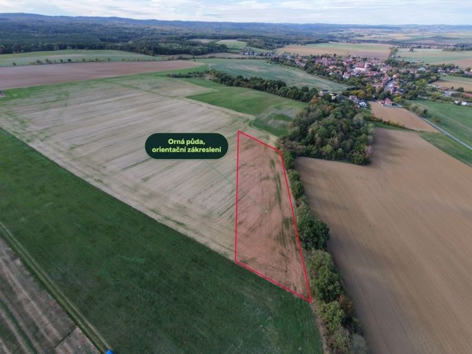 Prodej, Pole, Prostějovičky