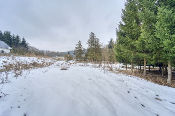 Prodej, Zahrada, Kyselka