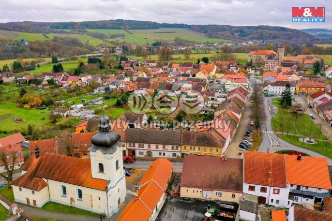 Prodej, Hotel, penzion, Švihov