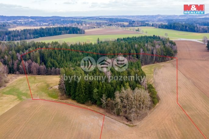 Prodej, Louka, Vysočina