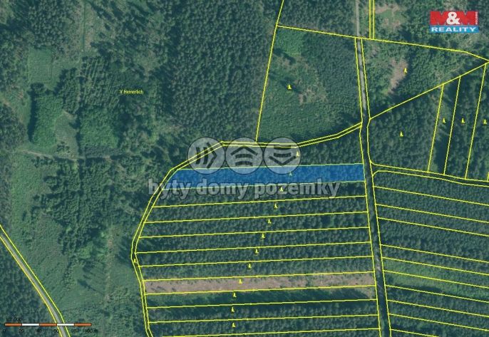 Prodej, Les, Bechyně