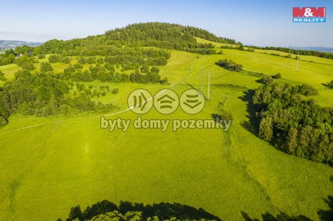 Prodej, Louka, Dlouhý Most