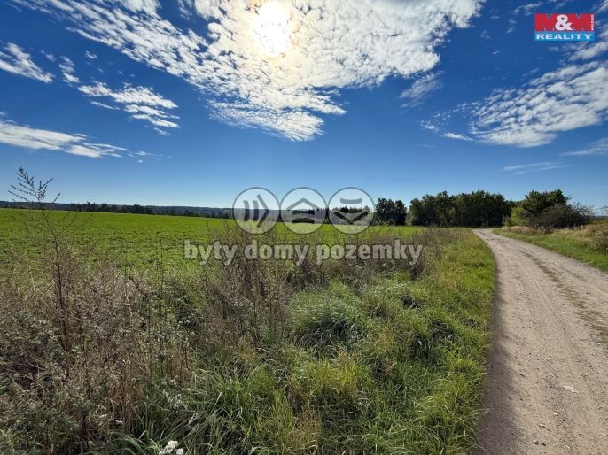 Prodej, Pole, Dobronice u Bechyně