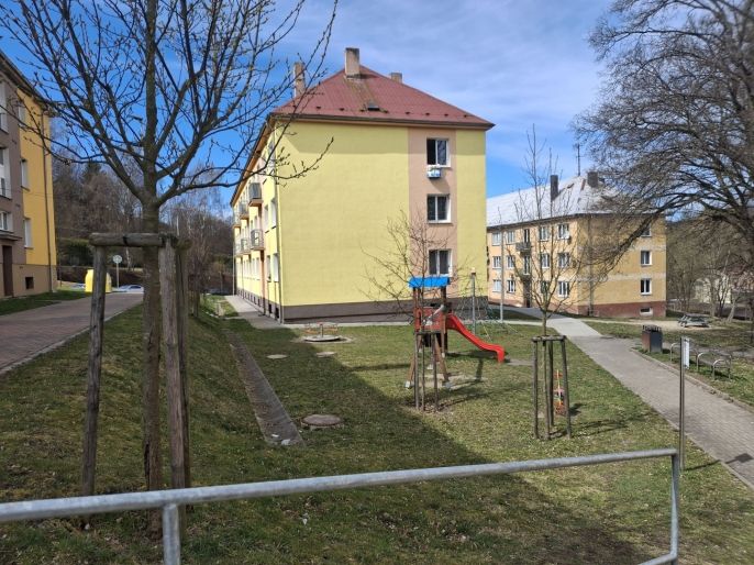 Pronájem, Byt 2+1, Plesná