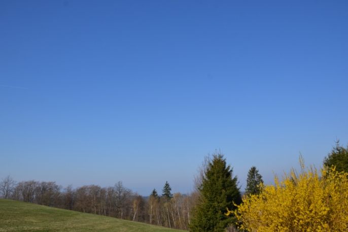 Prodej, Chalupa, Náchod