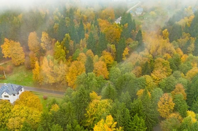 Prodej, Ostatní, Nová Ves nad Nisou