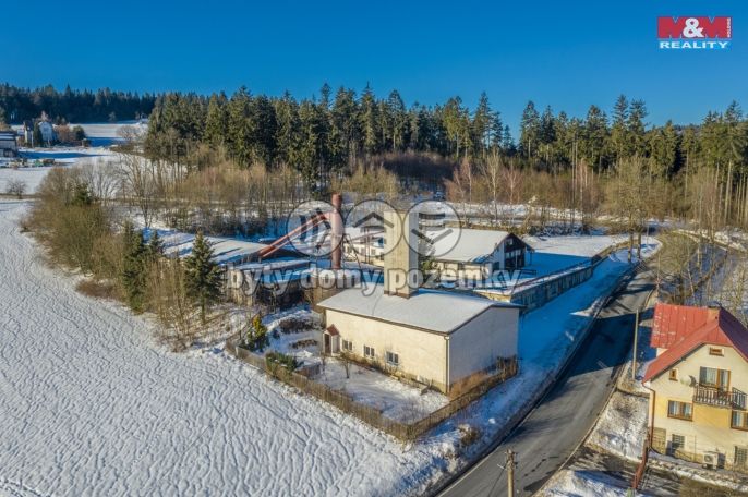 Prodej, Výrobní objekt, Pěnčín