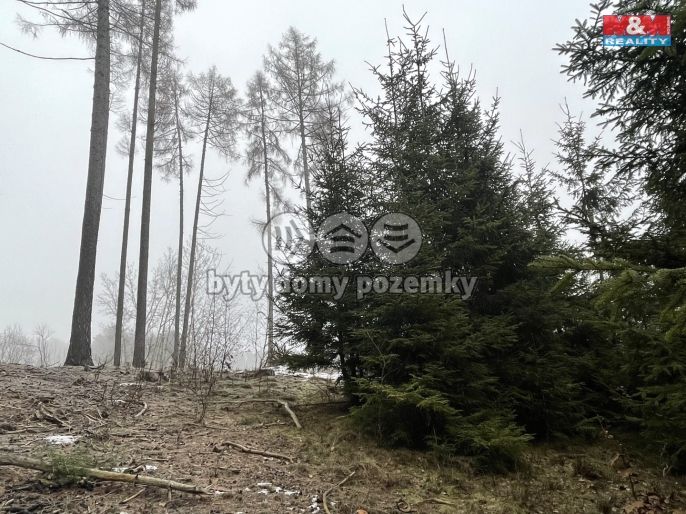 Prodej, Les, Pecka