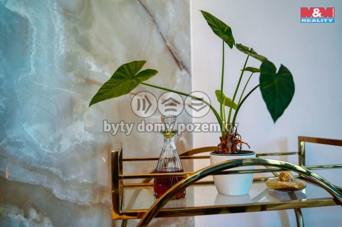 Prodej, Rodinný dům, Plzeň