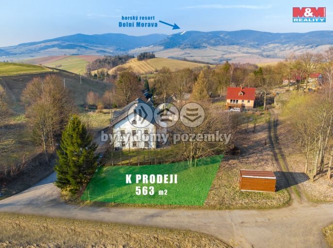 Prodej, Komerční pozemky, Králíky