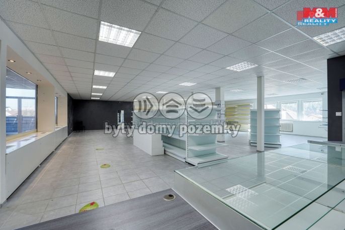 Pronájem, Obchod a služby, Třemošná