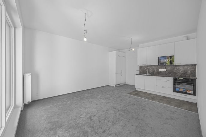 Prodej, Byt 1+kk, Praha