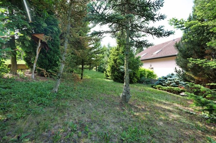Prodej, Rodinný dům, Bučovice