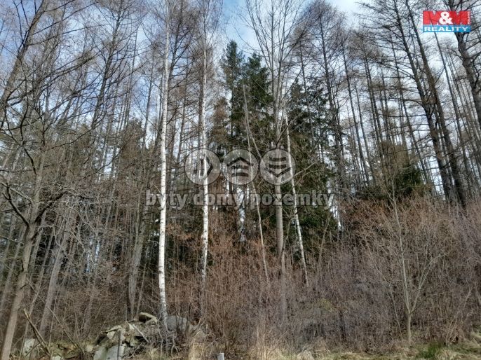 Prodej, Les, Zálezly