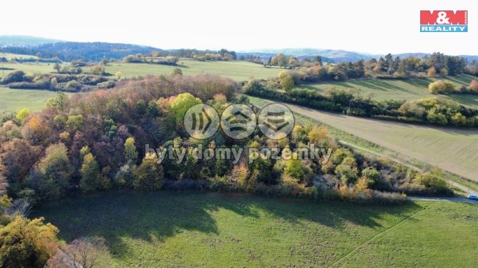 Prodej, Ovocný sad, Milešov