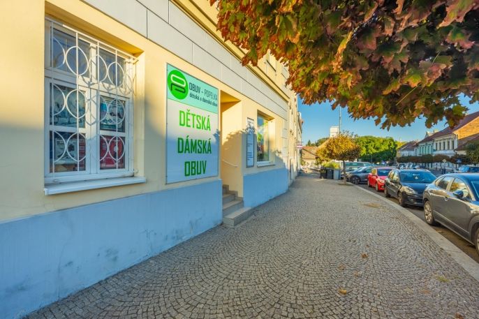 Pronájem, Obchod a služby, Slaný