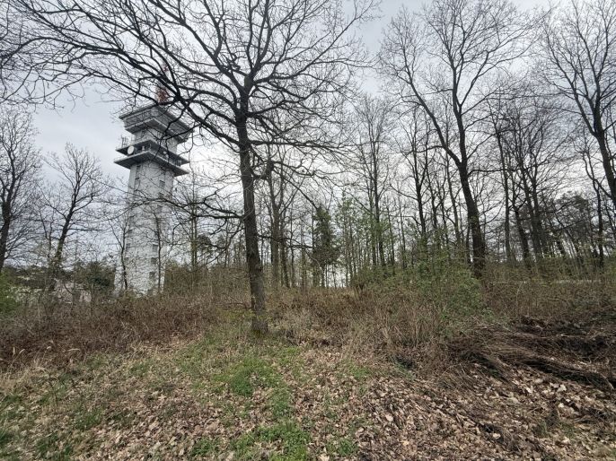 Prodej, Les, Býšť