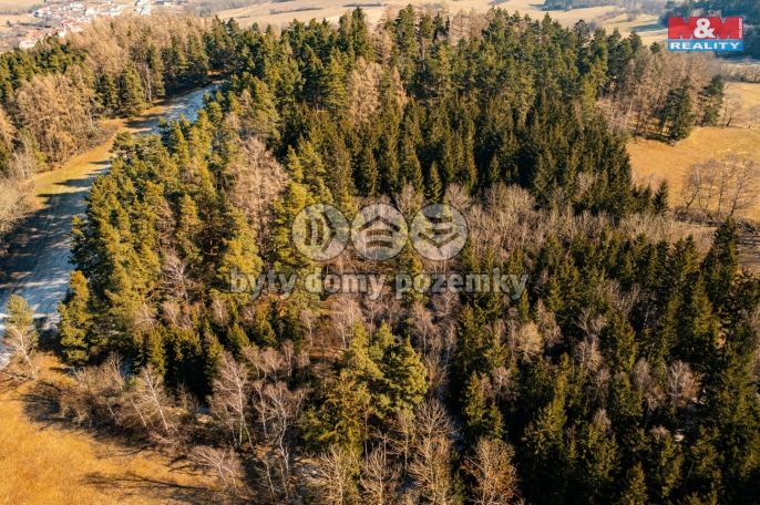 Prodej, Les, Nišovice