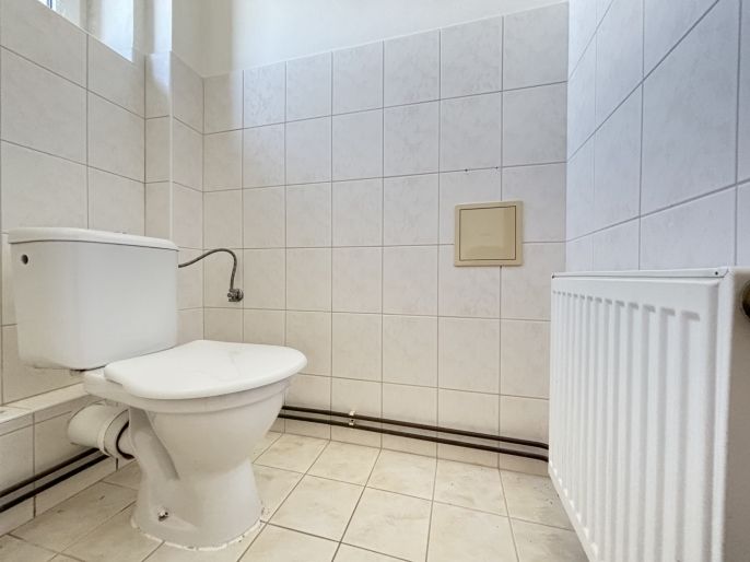 Prodej, Byt 2+1, Havlíčkova Borová