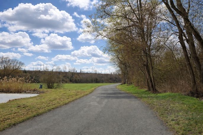 Prodej, Zahrada, Hoštka