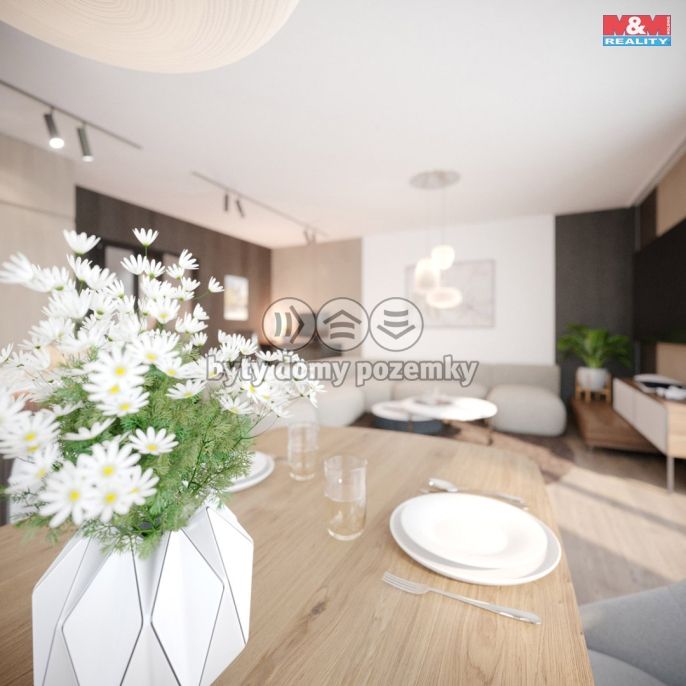 Prodej, Byt 3+kk, Nový Jičín