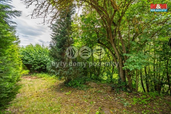 Prodej, Chata, Pavlíkov