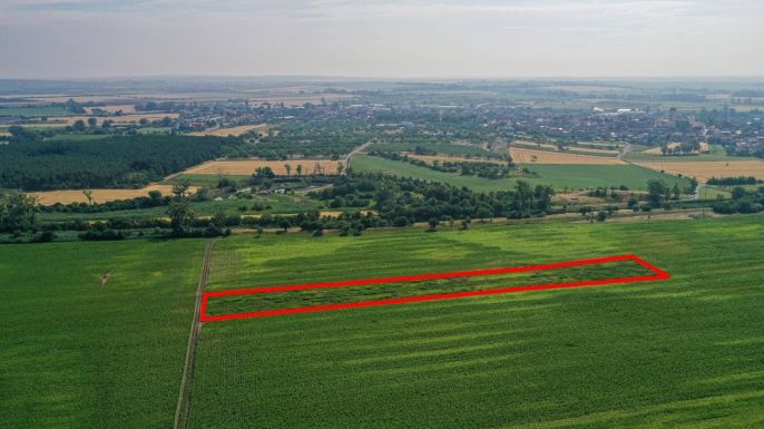 Prodej, Pole, Podivín