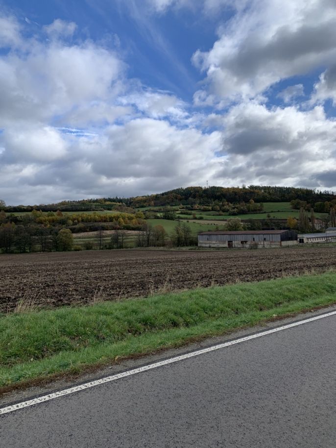 Prodej, Pole, Jabloňany
