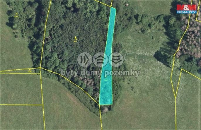 Prodej, Les, Velká Bukovina