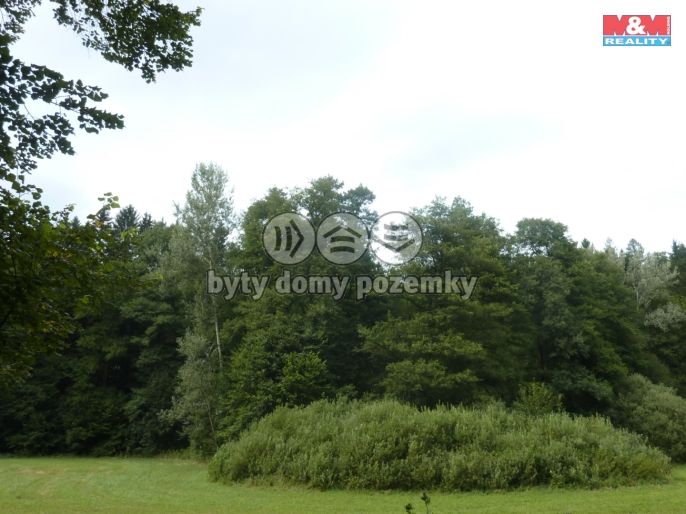 Prodej, Les, Vysoká Srbská