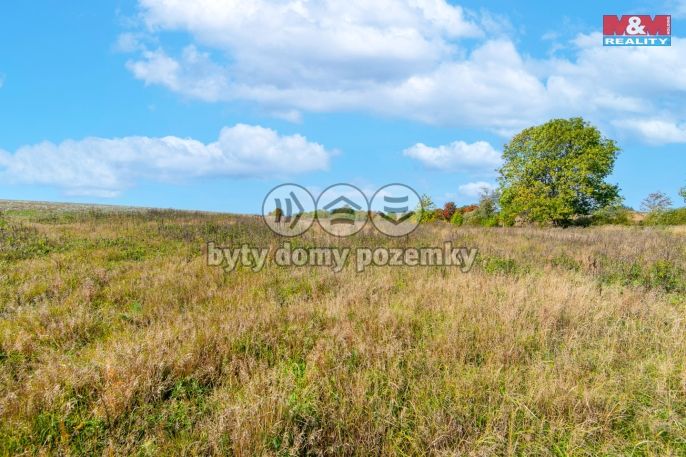 Prodej, Louka, Krásné Údolí