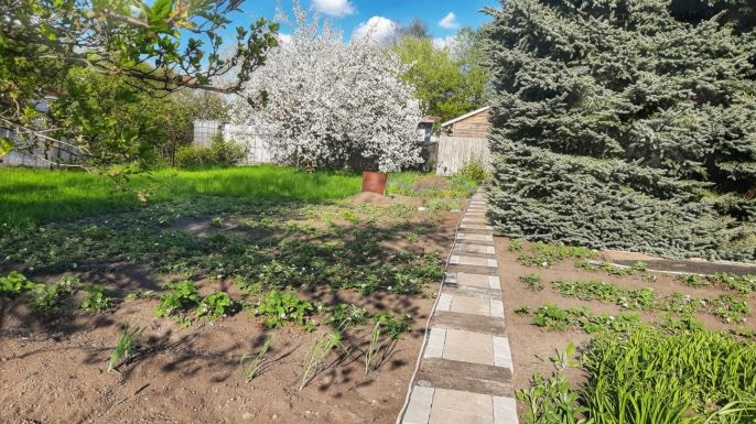 Prodej, Zahrada, Podbořany