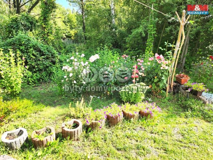 Prodej, Chata, Rokle