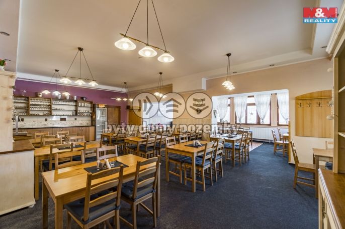 Prodej, Hotel, penzion, Černá Voda