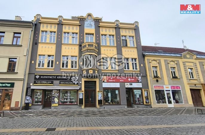 Pronájem, Obchod a služby, Slaný