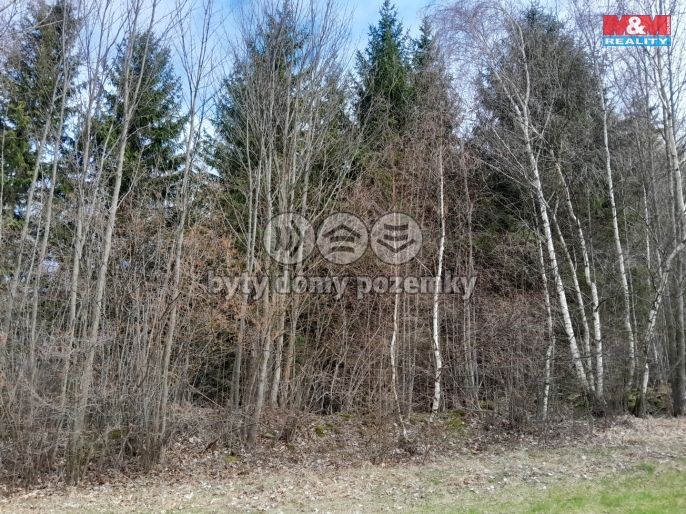 Prodej, Les, Zálezly