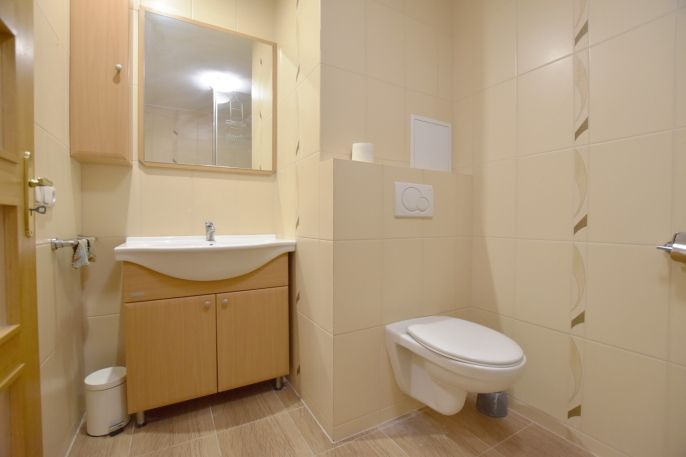 Pronájem, Byt 1+kk, Hradec Králové