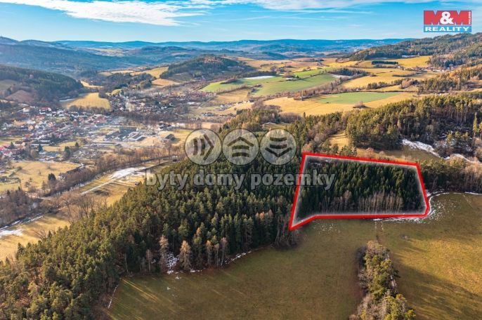 Prodej, Les, Malenice