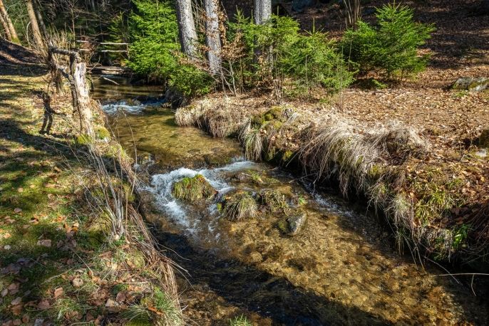 Prodej, Chalupa, Desná