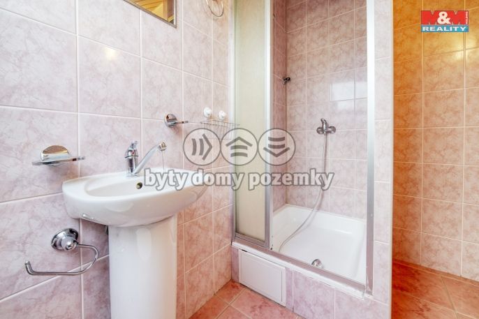 Prodej, Hotel, penzion, Dolní Žandov