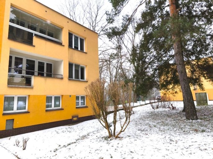 Pronájem, Byt 1+1, Havířov