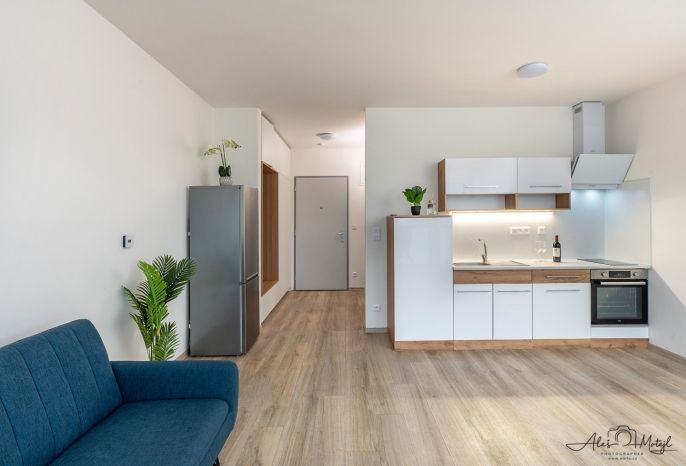 Prodej, Byt 1+kk, České Budějovice